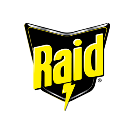 Raid