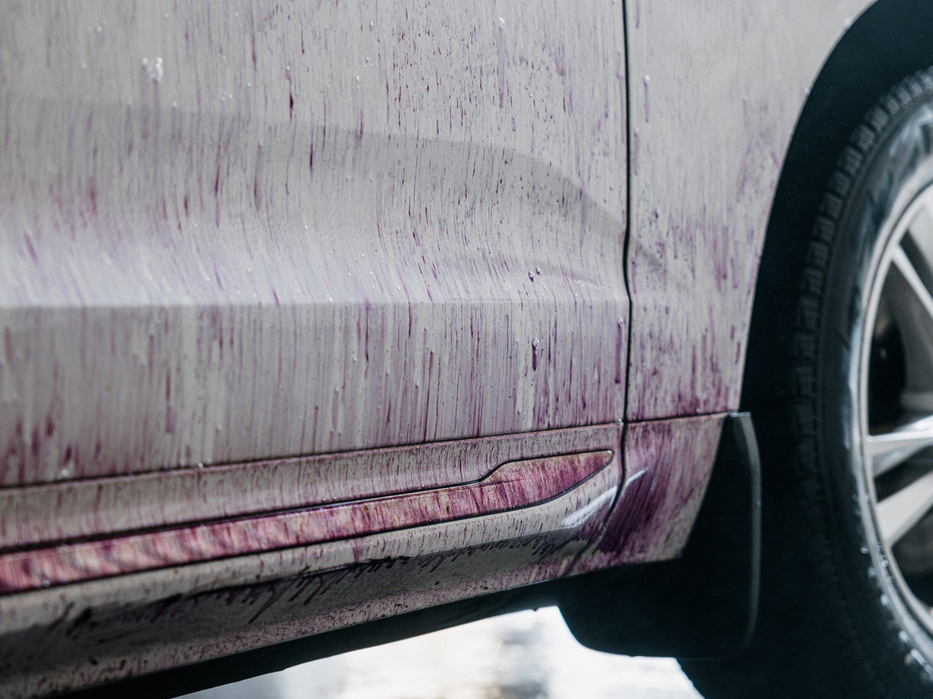 Pureest W1 Flygrostborttagningsmedel 5 Liter